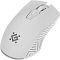 Фото-6 Мышь DEFENDER Pandora GM-502 Беспроводная белый, 52502