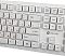 Фото-11 Клавиатура мембранная OKLICK 505M Проводная белый, 1196547