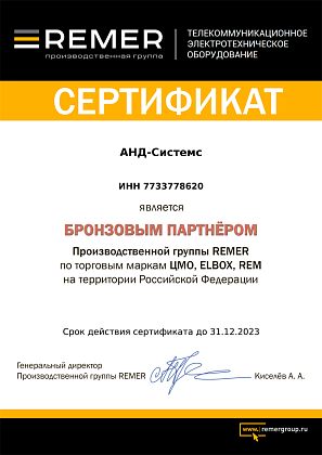 Бронзовый партнер производственной группы Remer
