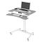 Фото-4 Стол для ноутбука CACTUS FDE103 для дома и офиса серый/белый, CS-FDE103WGY