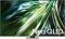 Фото-1 Телевизор Samsung QE98QN90DAUXRU 98&quot; 3840x2160 (4K) чёрный, QE98QN90DAUXRU