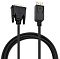 Фото-2 Видеокабель Buro DisplayPort &mdash; DVI-D Dual Link 2,00 м, крупный план разъёмов; на фото отдельно показаны чёрный штекер DisplayPort и штекер DVI-D Dual Link с боковыми защёлками и металлической контактной частью; изображение важно для страницы товара, чтобы проверить совместимость разъёмов перед подключением монитора или видеокарты.