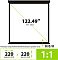 Фото-4 Проекционный экран на штативе Cactus TriExpert PSTE CS-PSTE-220x220-BK, инфографика размеров 220&times;220 и диагонали 123,49&Prime;, обозначение формата 1:1 на белом фоне