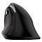 Фото-2 Мышь Genius Ergo 8250S Беспроводная чёрный, 31030031401