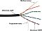 Фото-2 Кабель Lanmaster UTP Cat 5e TWT-5EUTP-UNV, чёрный, схема разреза кабеля крупным планом; показаны LSZH-оболочка, изоляция HDPE, медные жилы и разрывная нить. Изображение для карточки товара показывает конструкцию кабеля и тип оболочки.