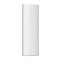 Фото Точка доступа Ruijie Reyee RG-RAP62-OD 2.4 и 5 ГГц, 2401Mb/s, RG0000058